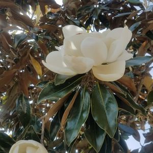 Meet your Posher, Marlena